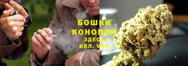 COCAINE Богородицк